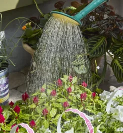 Hot Haws Plastic Watering Can Indoor Gardening