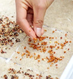 Hot Hemp-Fiber Grow Mats Seed Starting