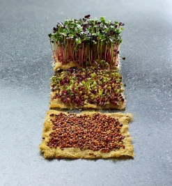 Hot Hemp-Fiber Grow Mats Seed Starting