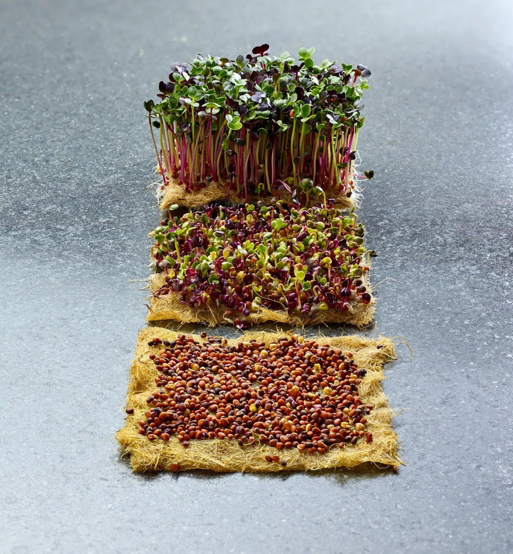 Hot Hemp-Fiber Grow Mats Seed Starting