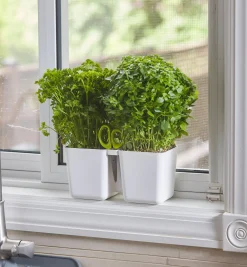 Best Herb Planter With Shears Indoor Gardening