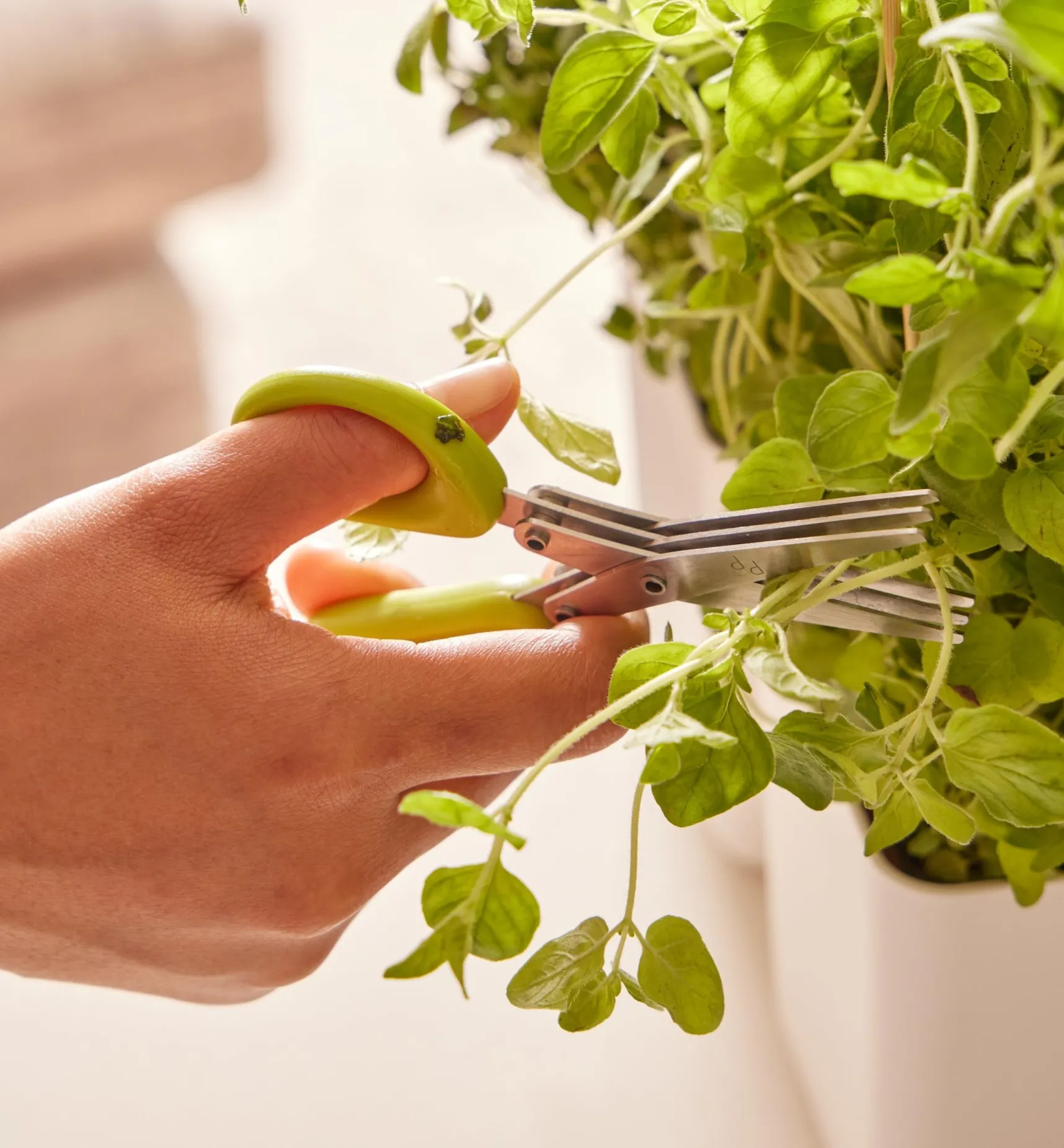 Best Herb Planter With Shears Indoor Gardening