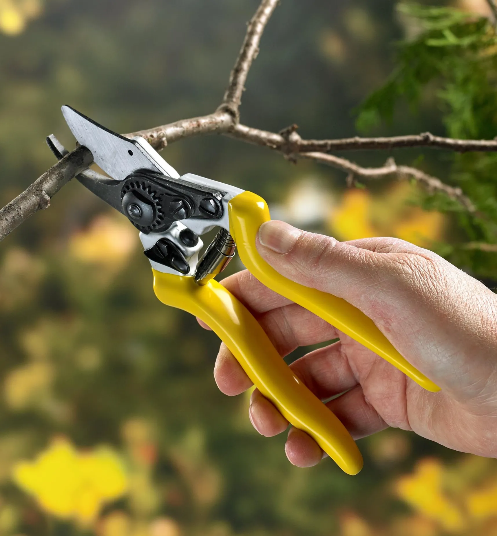 High-Quality Bypass Pruner Pruners