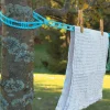 Hook-Anywhere Clothesline Laundry