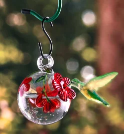 New Hummingbird Feeder Birding