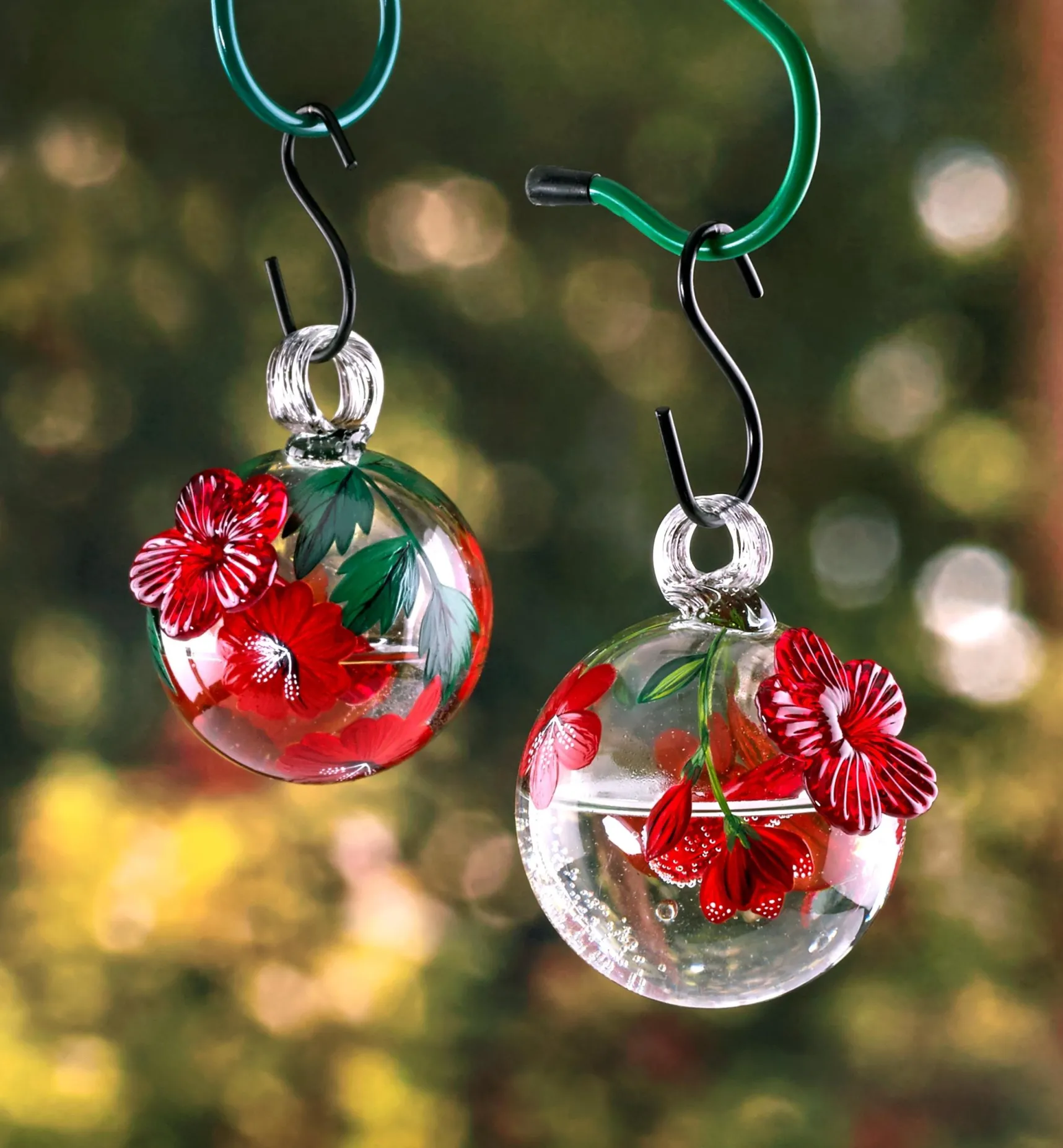 New Hummingbird Feeder Birding