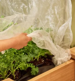 Outlet Insect Protection Fabric Plant Protection