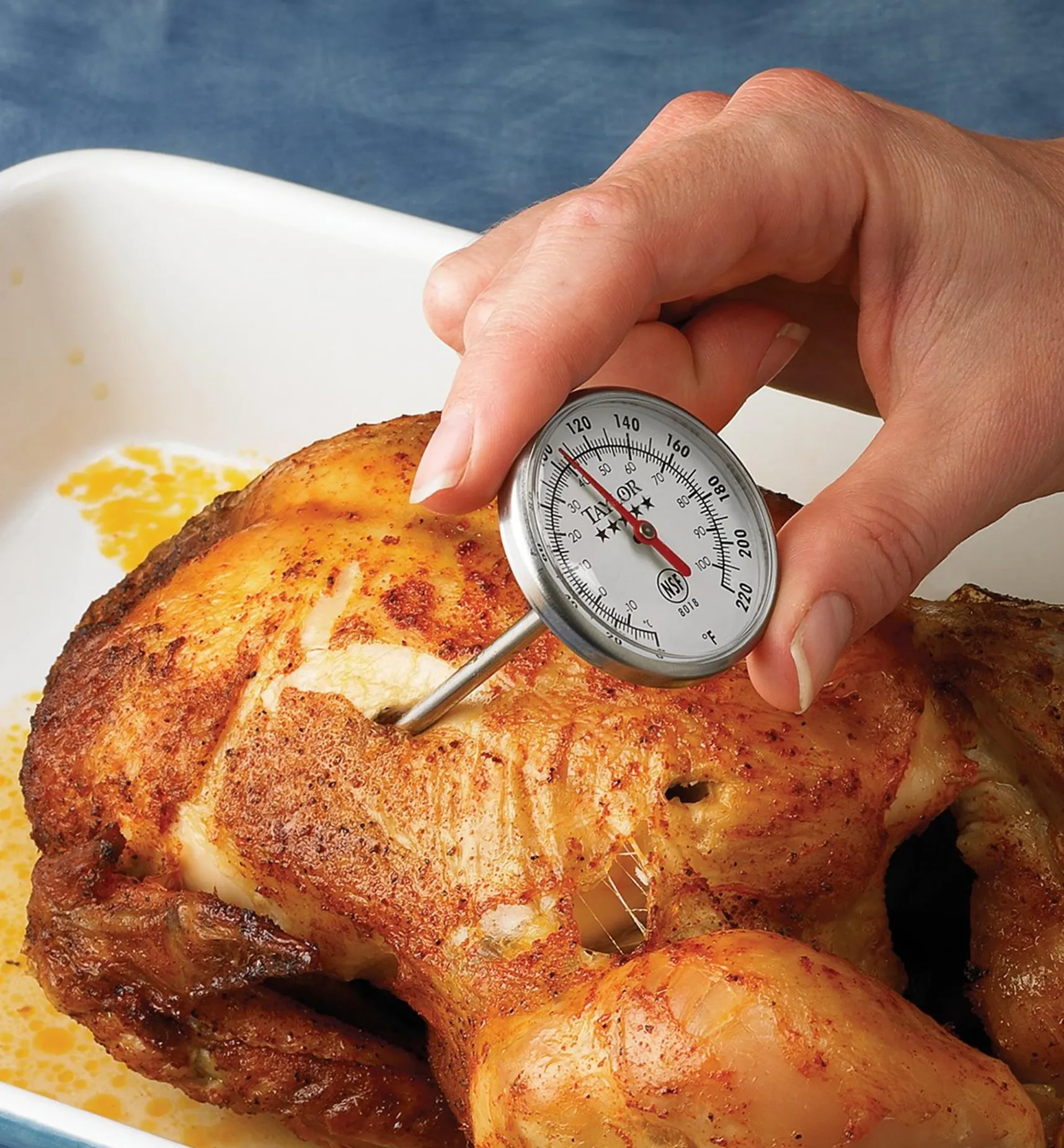 Clearance Instant-Read Thermometer Thermometers