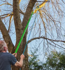Jameson Professional Tree-Pruning Kit Pruners
