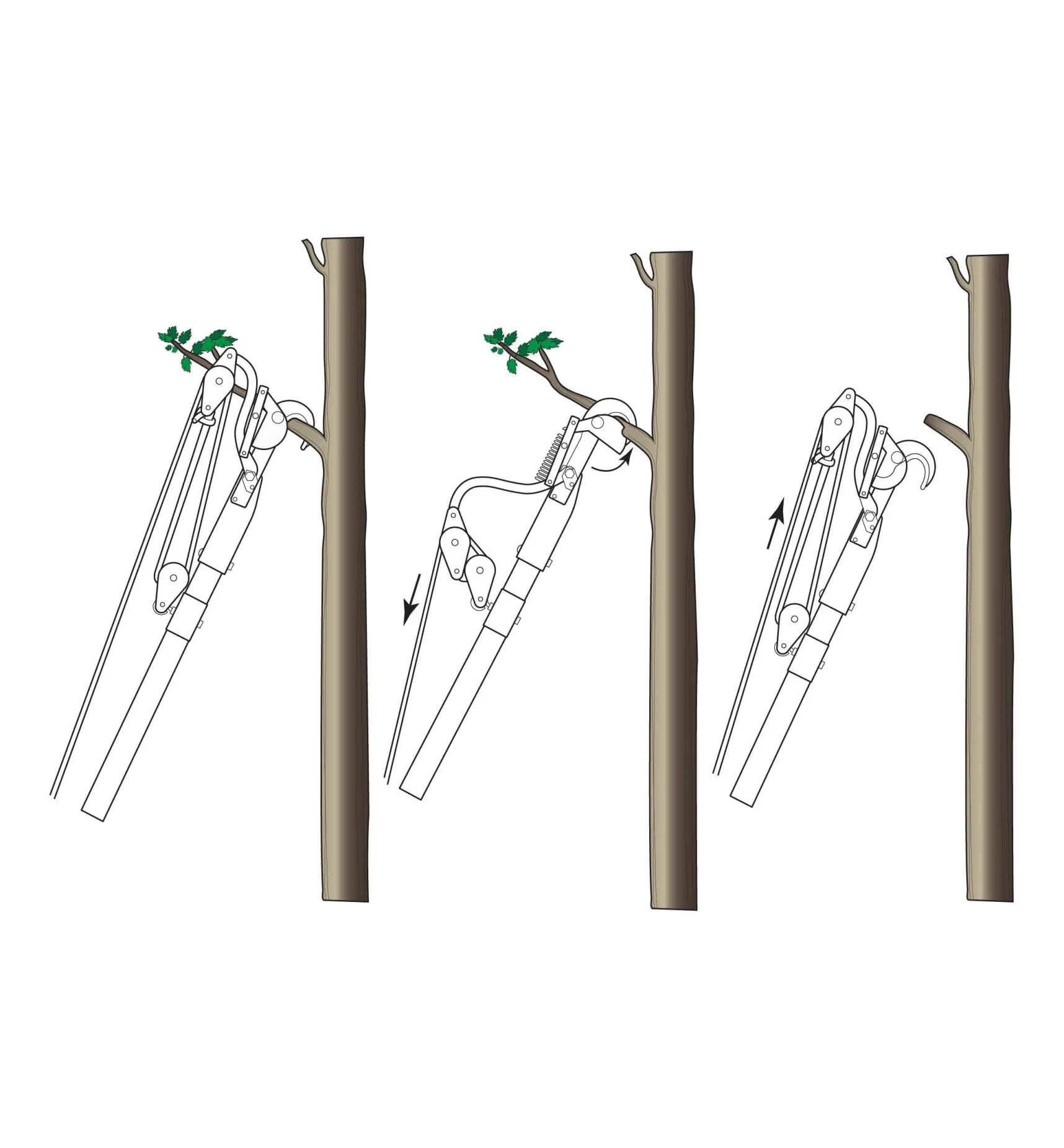 Jameson Professional Tree-Pruning Kit Pruners