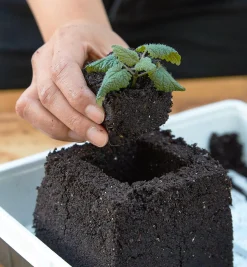 Outlet Large Soil Blocker Seed Starting