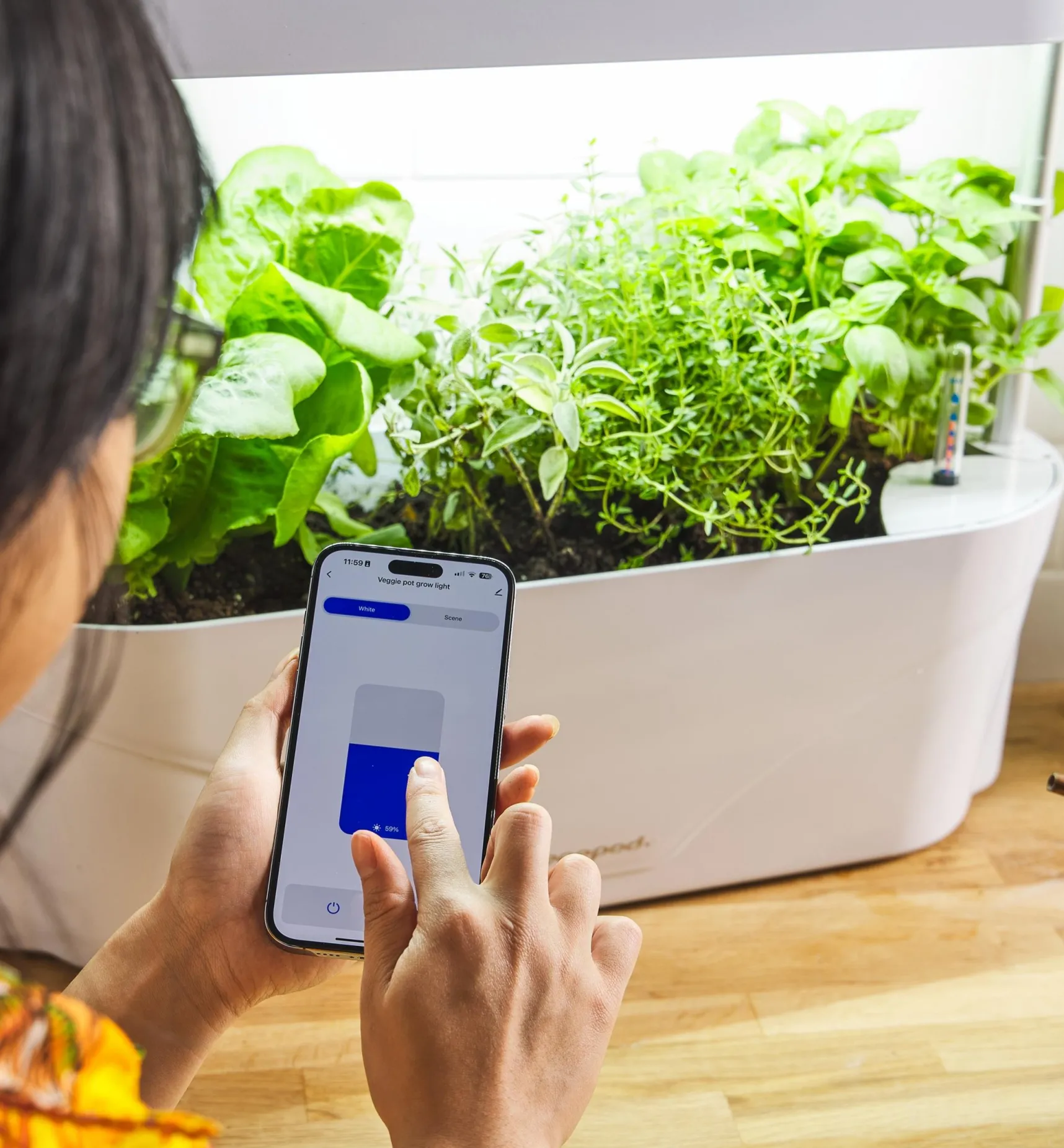 Online LED Grow Light & Planter Grow Lights