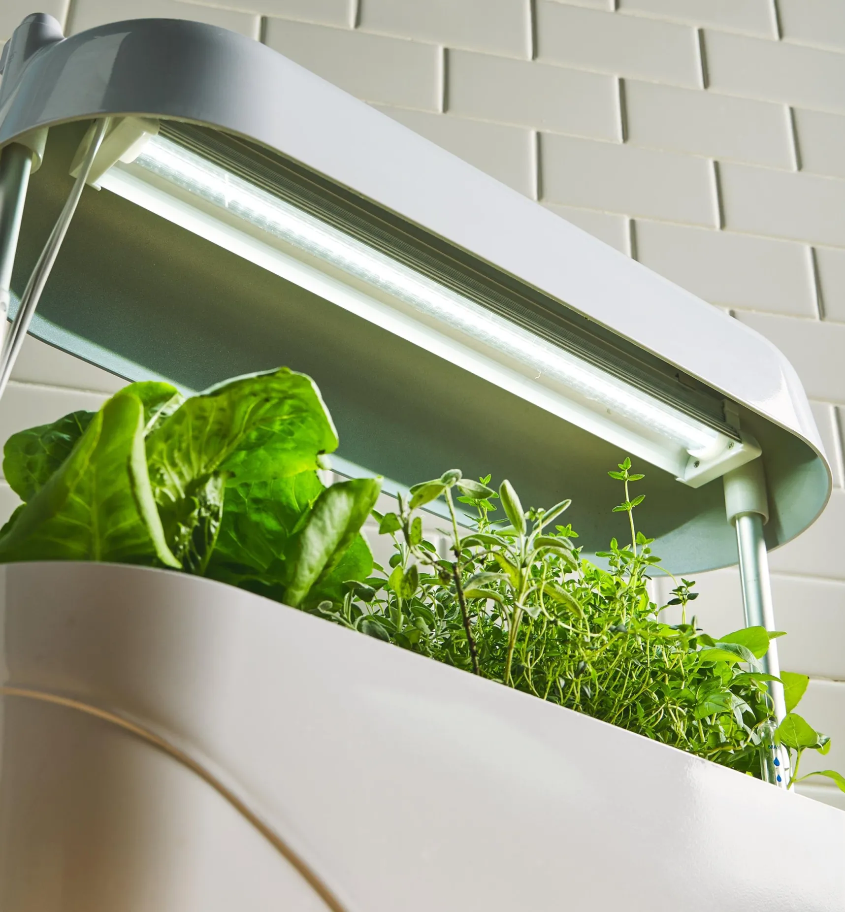 Online LED Grow Light & Planter Grow Lights