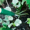 Best Claw Cultivator Weeding