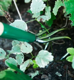 Best Claw Cultivator Weeding