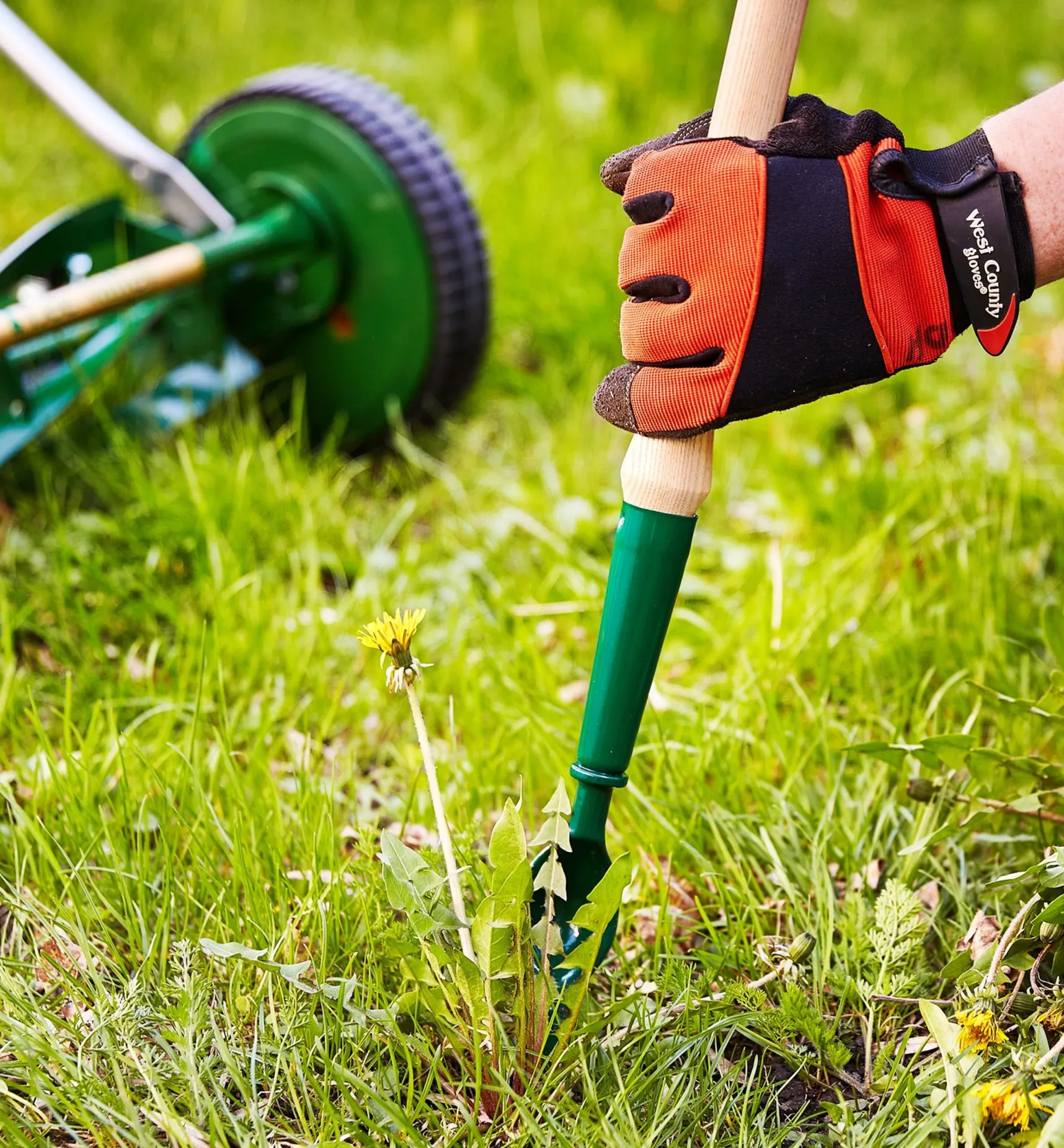 Clearance Dandelion Diggers Weeding