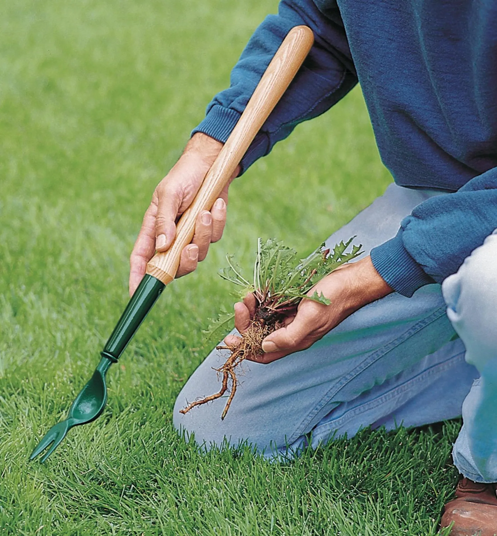 Clearance Dandelion Diggers Weeding