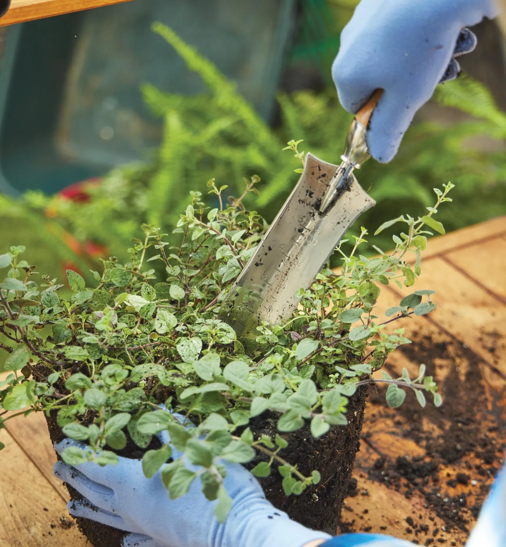 Best Garden Knives Weeding