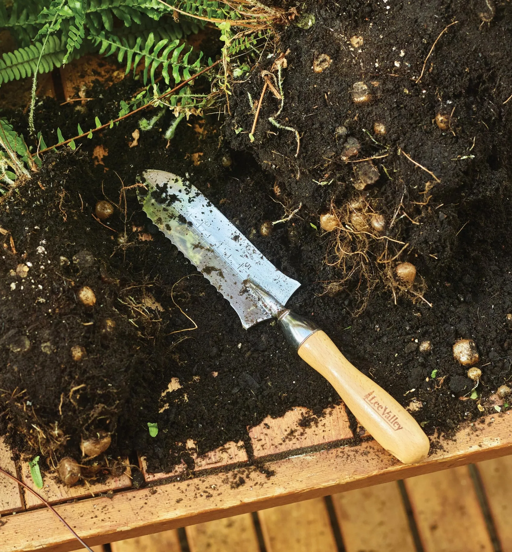 Best Garden Knives Weeding