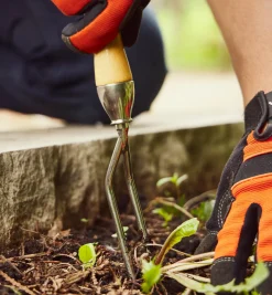 Online Jekyll Weeder Weeding