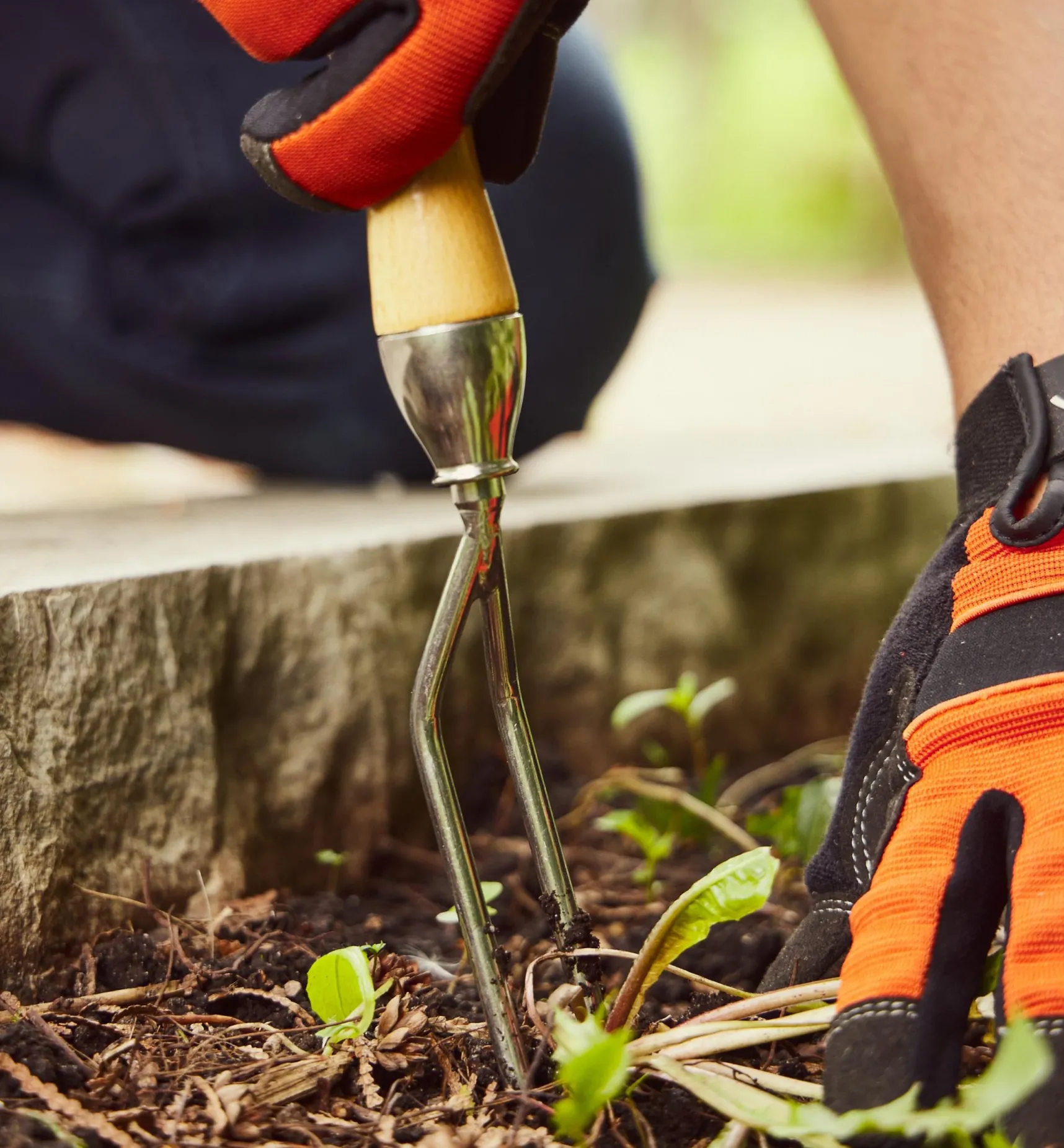 Online Jekyll Weeder Weeding