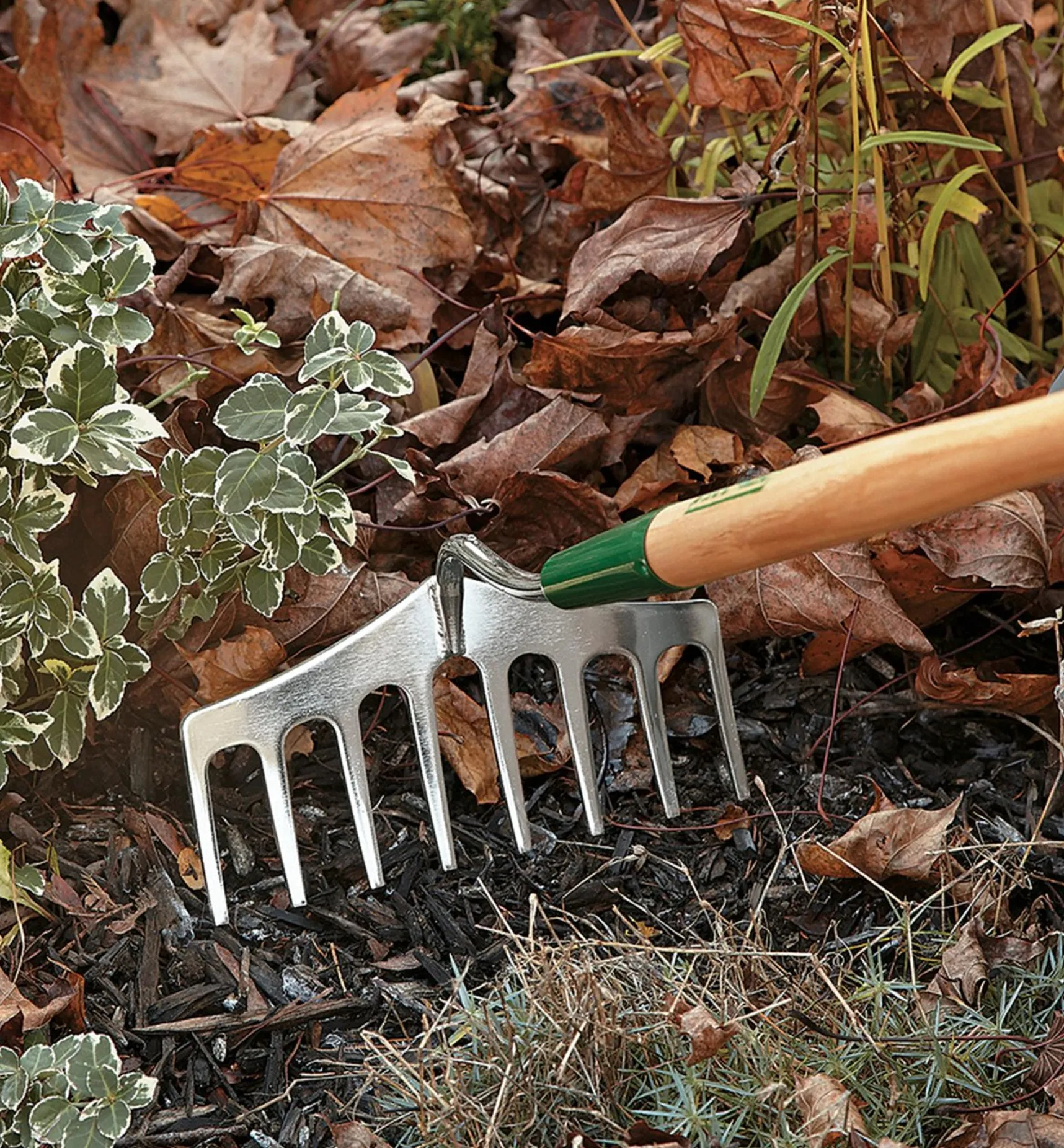 Outlet Narrow Rake Rakes
