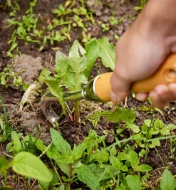 New One-Prong Cultivator Weeding