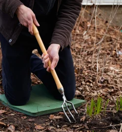 Hot Perennial Fork Harvesting