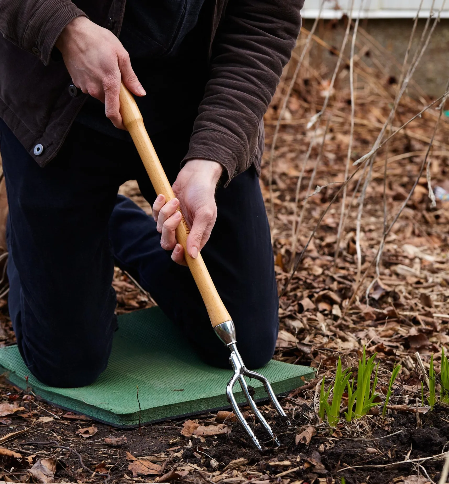 Hot Perennial Fork Harvesting