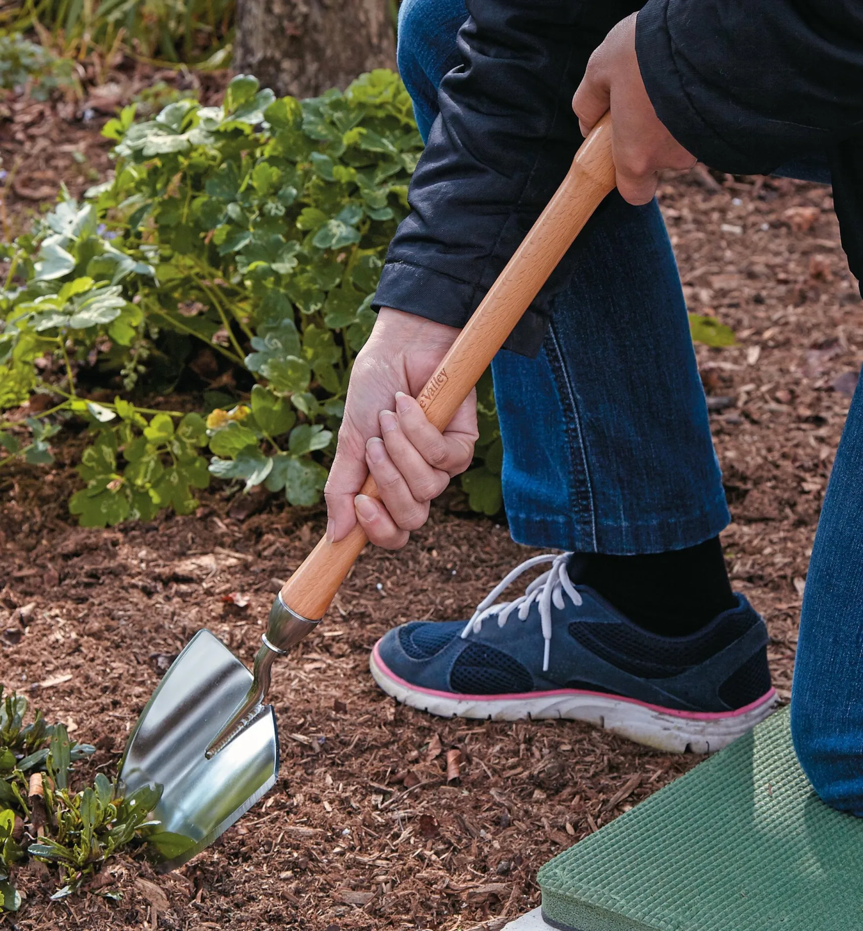 Online Perennial Spade Spades