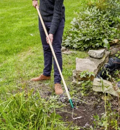 New Swoe Weeding