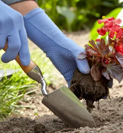 Sale Trowel Trowels
