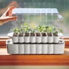 Windowsill Seed Starter Seed Starting