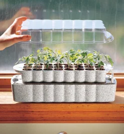Windowsill Seed Starter Seed Starting