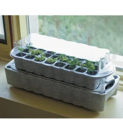 Windowsill Seed Starter Seed Starting
