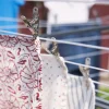 Clearance Lifetime Clothespins Laundry