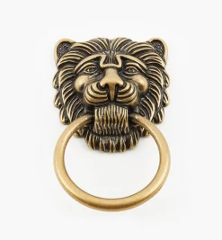 Best Lion's Head Ring Pulls Pulls