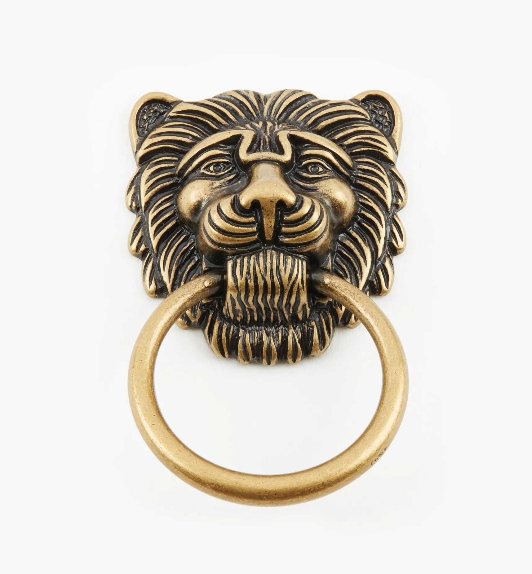 Best Lion's Head Ring Pulls Pulls