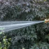 Little Big Shot Nozzle Home Maintenance