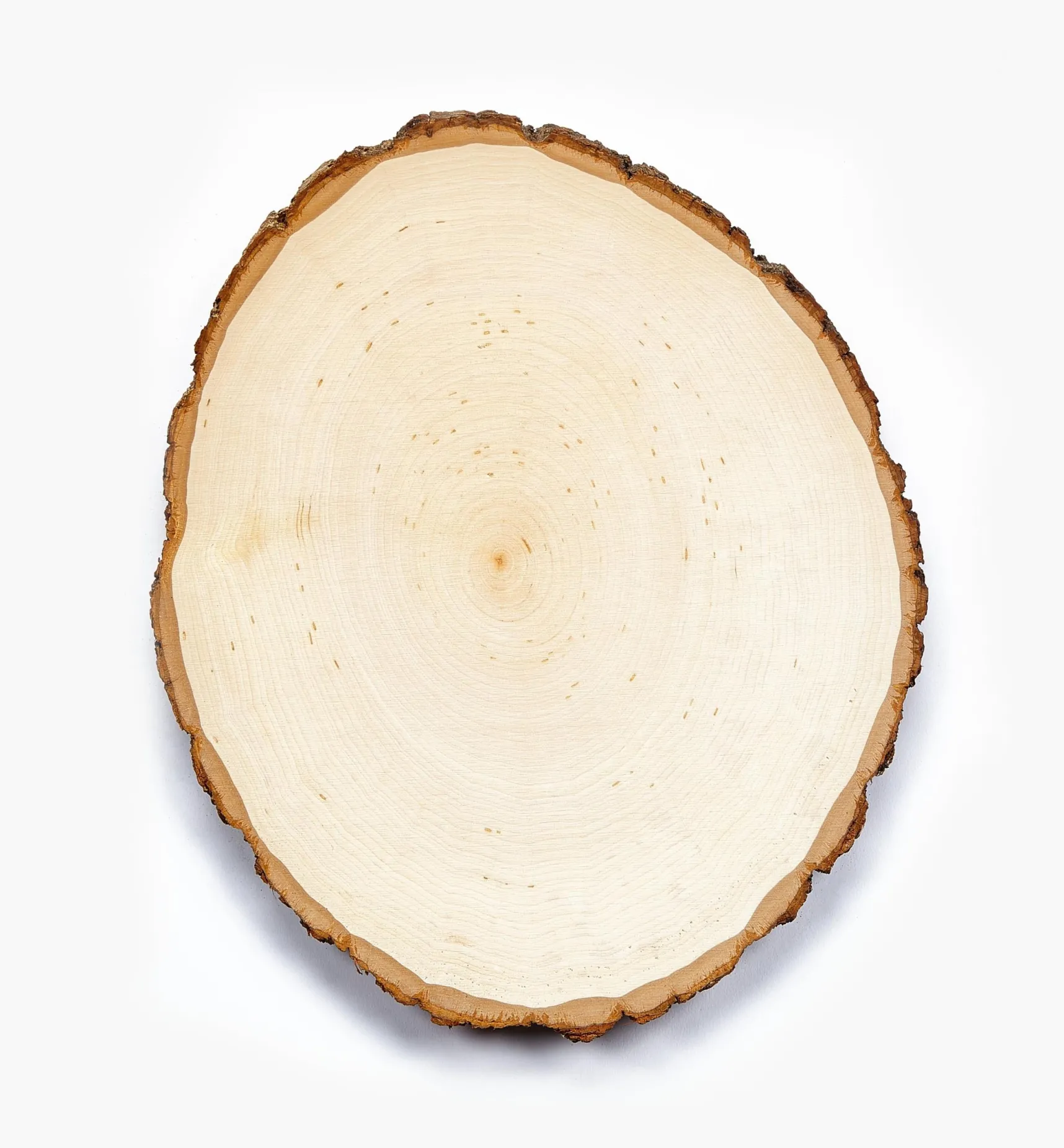New Live-Edge Oval Basswood Plaques Supplies