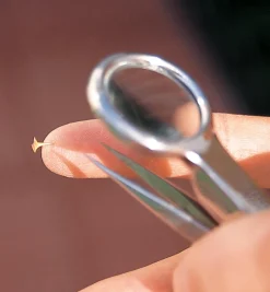 Magnifier Tweezers Personal Care