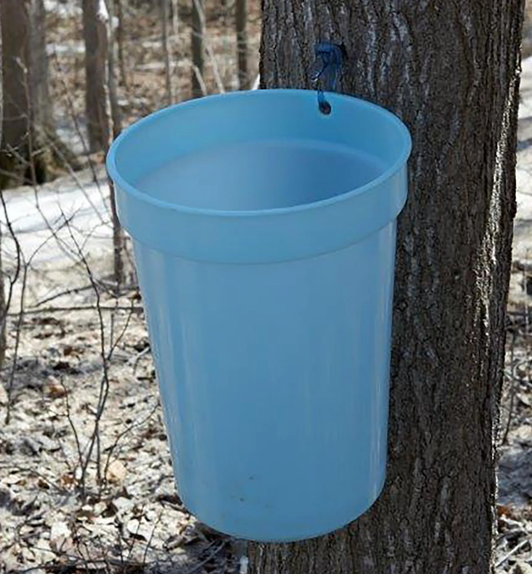 Best Maple Syrup Starter Kit Harvesting