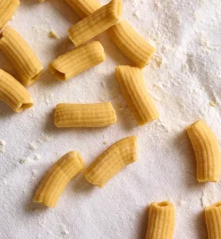 Hot Marcato Pasta Extruder Pasta Making