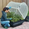 Discount Medium Vegepod Container Garden Container Gardening