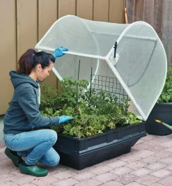 Discount Medium Vegepod Container Garden Container Gardening