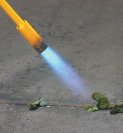 Online Mini Weed Torch Weeding