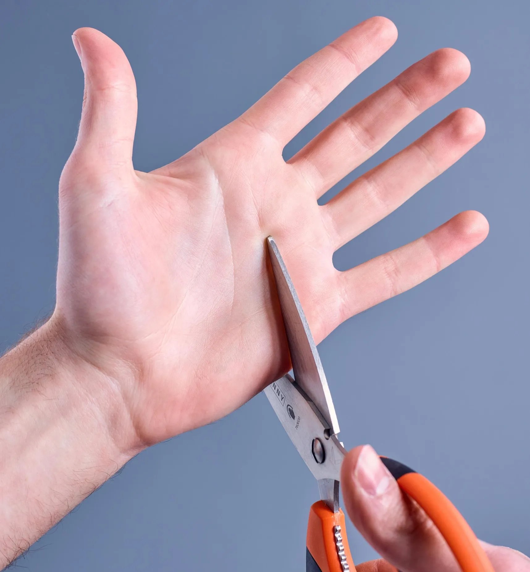 Best Multi-Purpose Safety Scissors Scissors