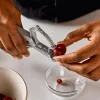 Olive & Cherry Pitter Kitchen Tools