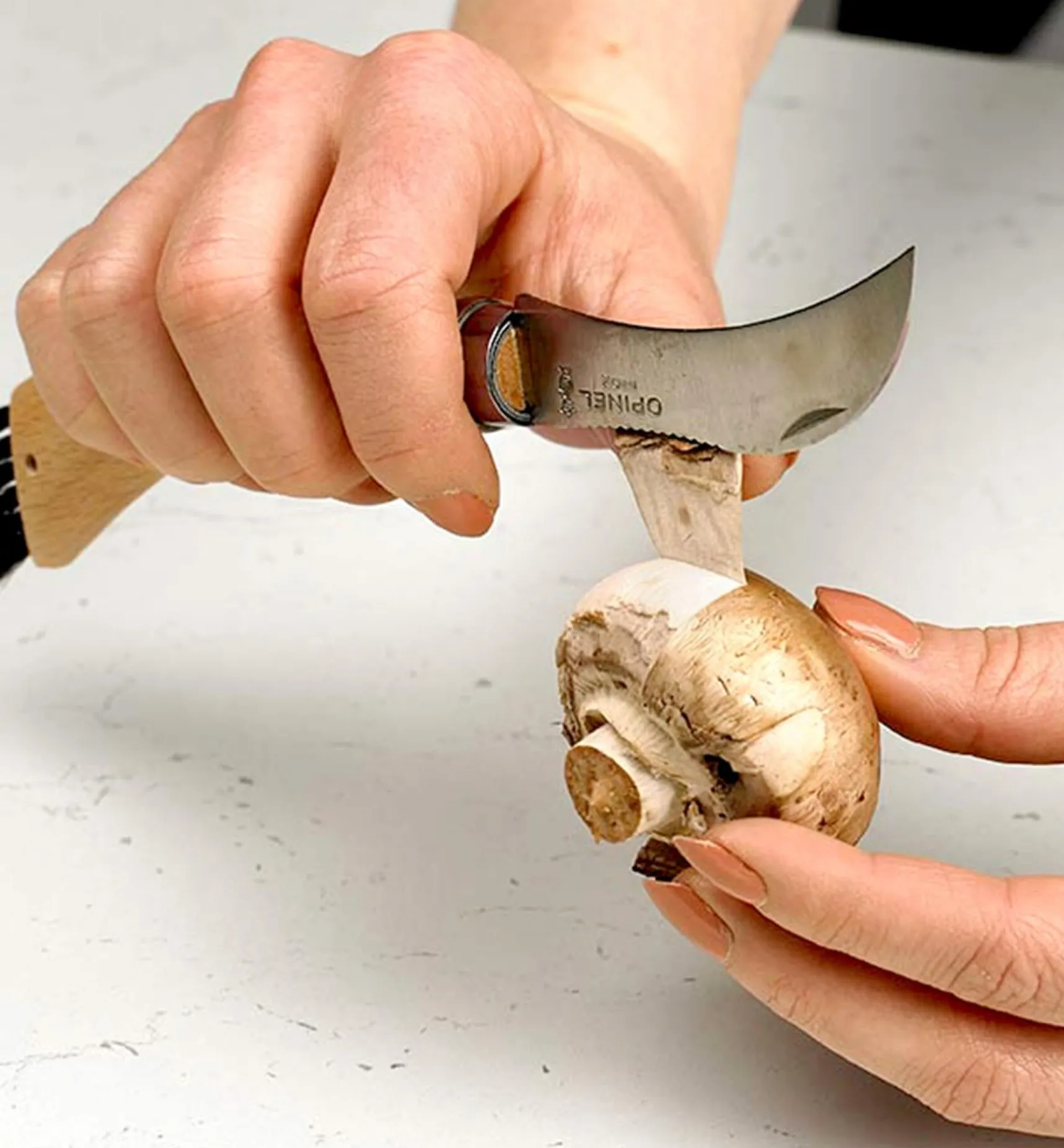 Sale Opinel Mushroom Knife Harvesting