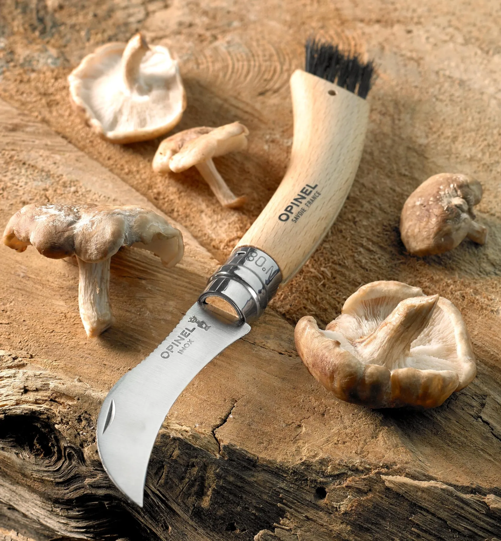 Sale Opinel Mushroom Knife Harvesting